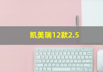 凯美瑞12款2.5