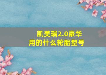 凯美瑞2.0豪华用的什么轮胎型号