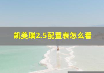 凯美瑞2.5配置表怎么看