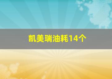 凯美瑞油耗14个