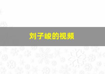 刘子峻的视频