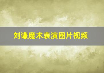 刘谦魔术表演图片视频