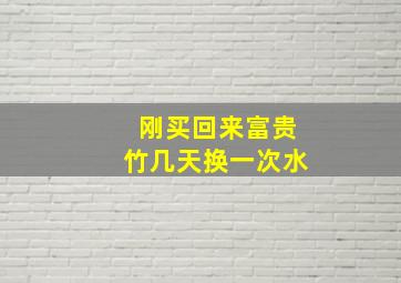 刚买回来富贵竹几天换一次水