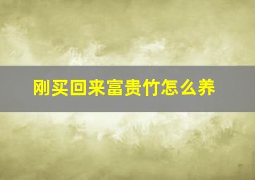 刚买回来富贵竹怎么养