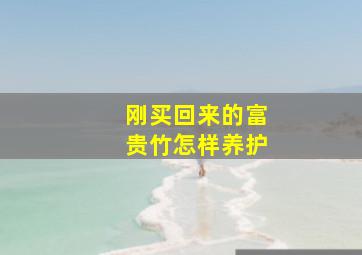 刚买回来的富贵竹怎样养护