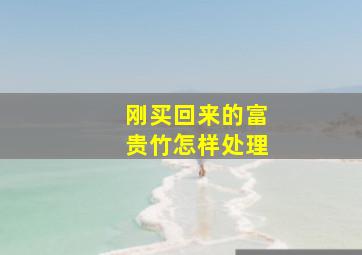 刚买回来的富贵竹怎样处理