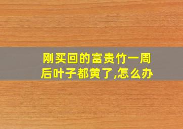 刚买回的富贵竹一周后叶子都黄了,怎么办