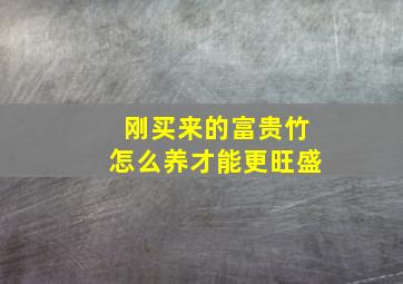 刚买来的富贵竹怎么养才能更旺盛