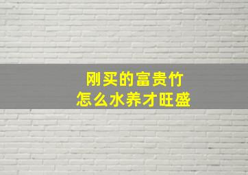 刚买的富贵竹怎么水养才旺盛