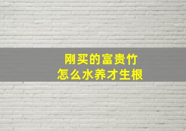 刚买的富贵竹怎么水养才生根