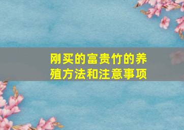 刚买的富贵竹的养殖方法和注意事项