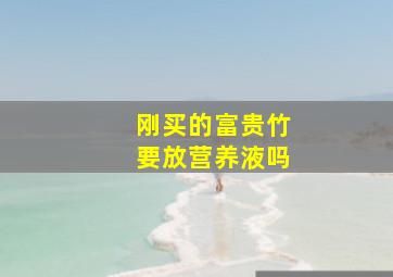 刚买的富贵竹要放营养液吗