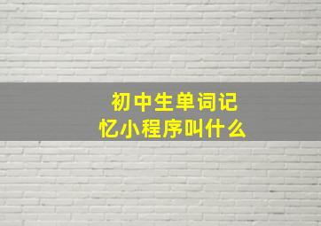 初中生单词记忆小程序叫什么