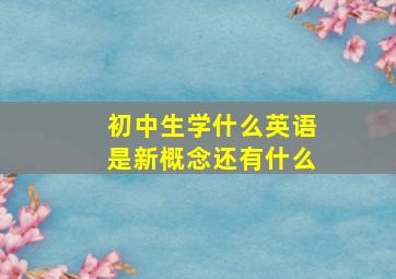 初中生学什么英语是新概念还有什么