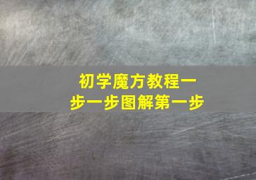 初学魔方教程一步一步图解第一步