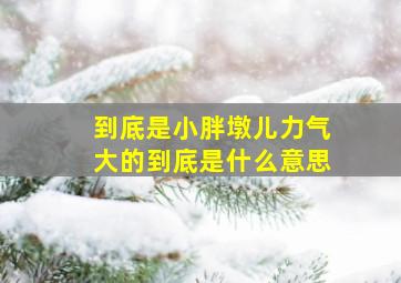 到底是小胖墩儿力气大的到底是什么意思