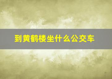 到黄鹤楼坐什么公交车