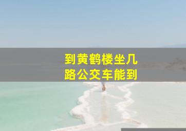 到黄鹤楼坐几路公交车能到