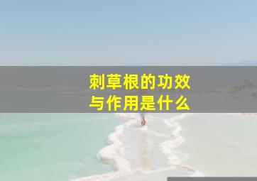 刺草根的功效与作用是什么