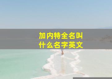 加内特全名叫什么名字英文