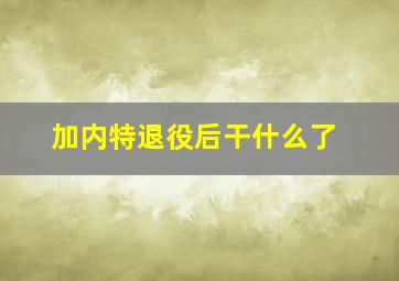 加内特退役后干什么了