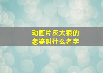 动画片灰太狼的老婆叫什么名字