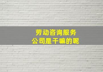 劳动咨询服务公司是干嘛的呢