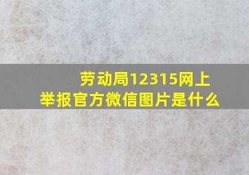 劳动局12315网上举报官方微信图片是什么