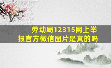 劳动局12315网上举报官方微信图片是真的吗