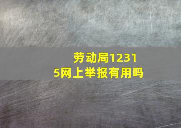 劳动局12315网上举报有用吗