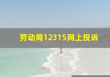 劳动局12315网上投诉