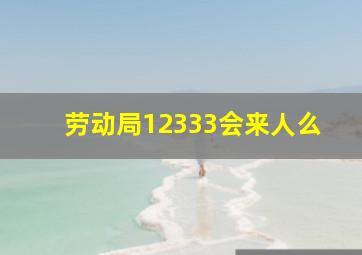 劳动局12333会来人么