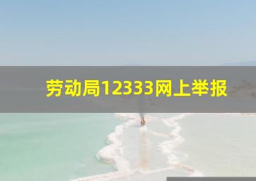 劳动局12333网上举报