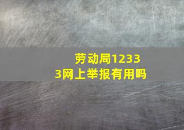 劳动局12333网上举报有用吗