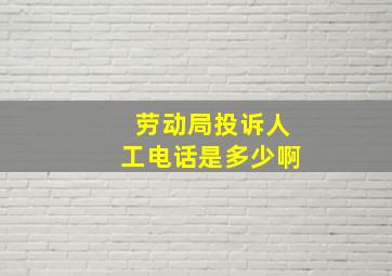 劳动局投诉人工电话是多少啊