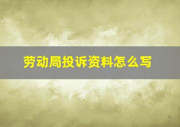 劳动局投诉资料怎么写