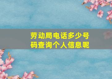 劳动局电话多少号码查询个人信息呢