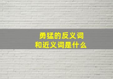 勇猛的反义词和近义词是什么