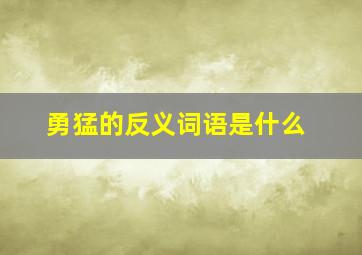 勇猛的反义词语是什么