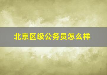 北京区级公务员怎么样