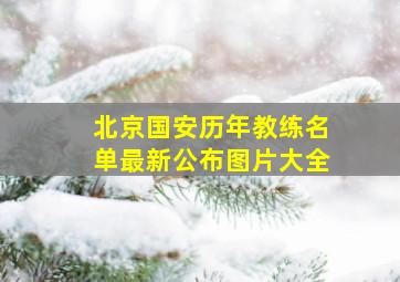 北京国安历年教练名单最新公布图片大全