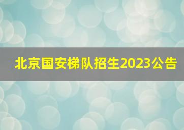 北京国安梯队招生2023公告