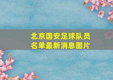 北京国安足球队员名单最新消息图片