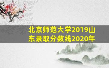 北京师范大学2019山东录取分数线2020年