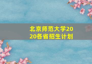 北京师范大学2020各省招生计划