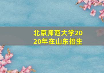 北京师范大学2020年在山东招生