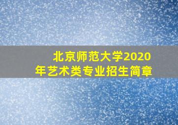 北京师范大学2020年艺术类专业招生简章