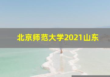 北京师范大学2021山东