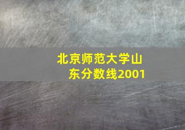 北京师范大学山东分数线2001