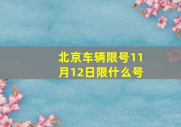 北京车辆限号11月12日限什么号